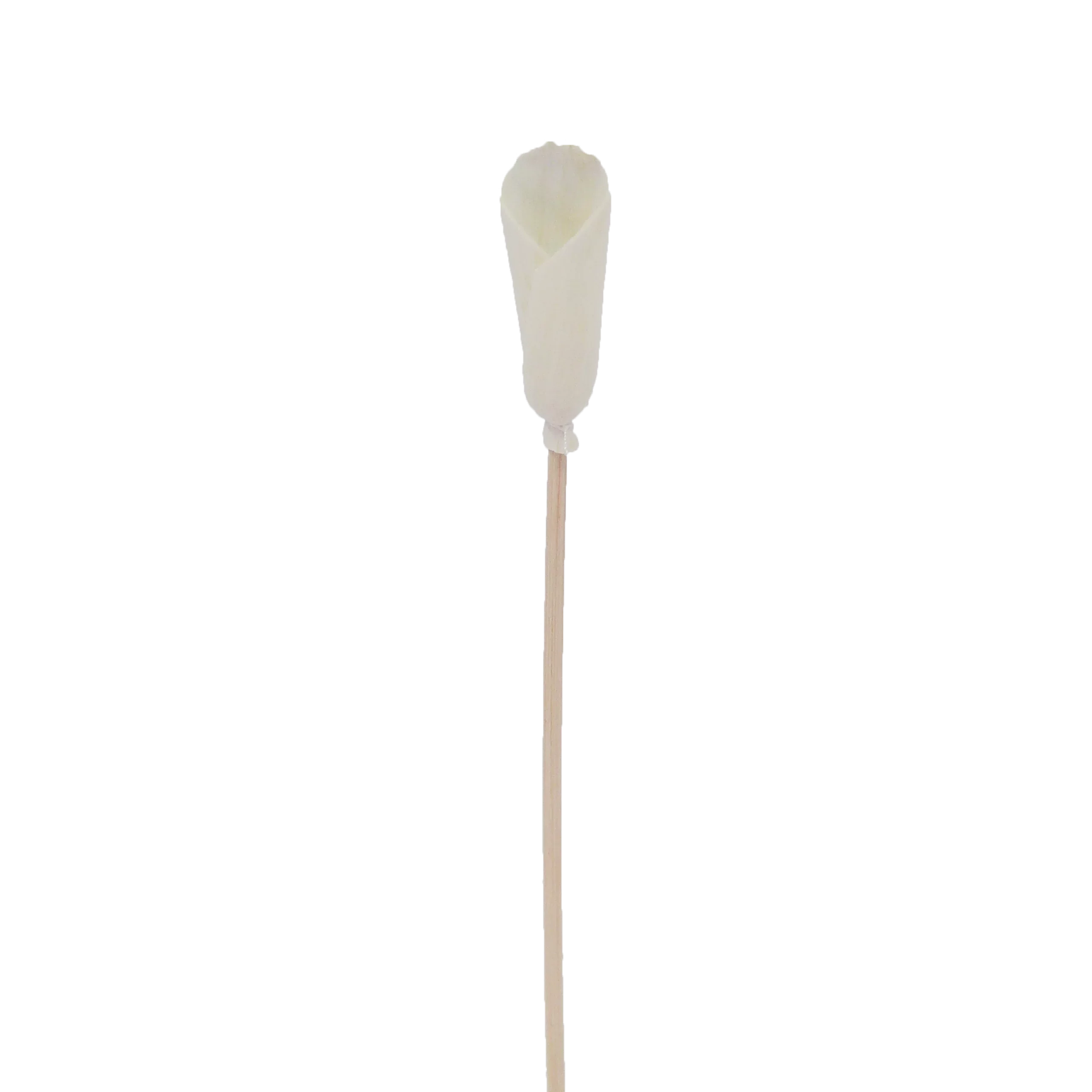 Alocasia Flower - Flower Rattan Diffuser Stick-0